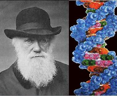 Дарвинизм и генетика
