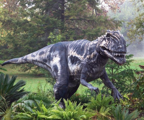 Что объединяет динозавров и современных воробьев