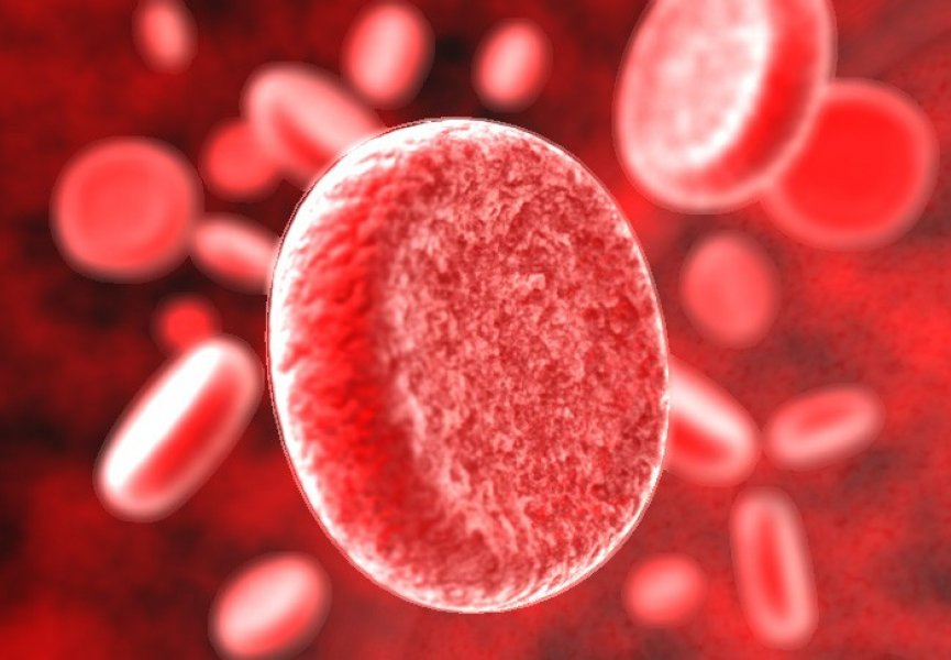 Ученые открыли еще две группы крови