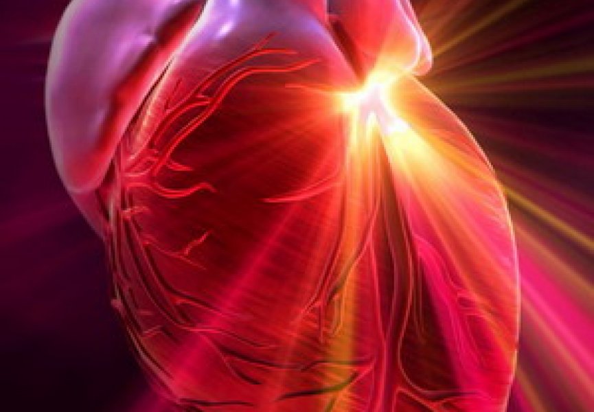 Секрет восстановления сердца после инфаркта скрывается в микроРНК