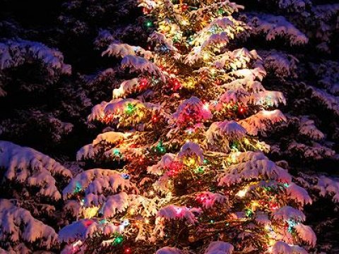 Новогодние елки будут светиться без гирлянд