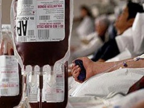 Шотландские ученые проведут испытания синтетической крови на людях