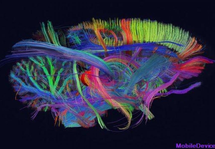 Новая трехмерная модель мозга открывает новые возможности перед неврологами