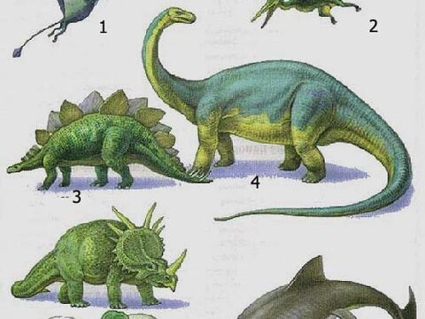 Установлена возможная причина массового вымирания динозавров