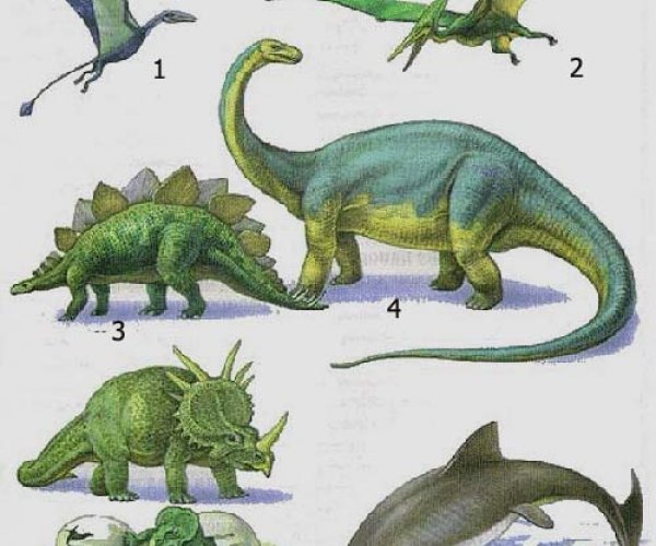 Установлена возможная причина массового вымирания динозавров
