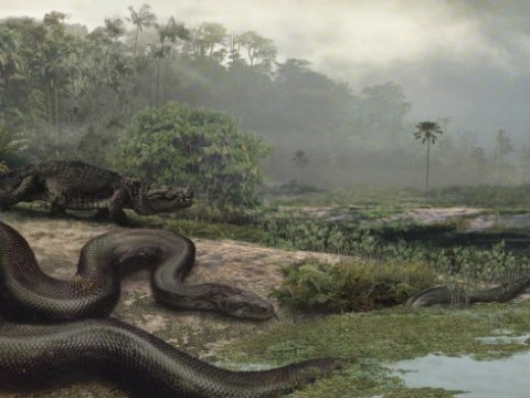Появление змей можно перенести на более ранний период