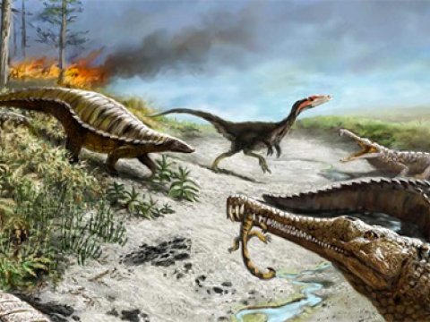 Почему травоядные динозавры не жили в тропиках триасского периода