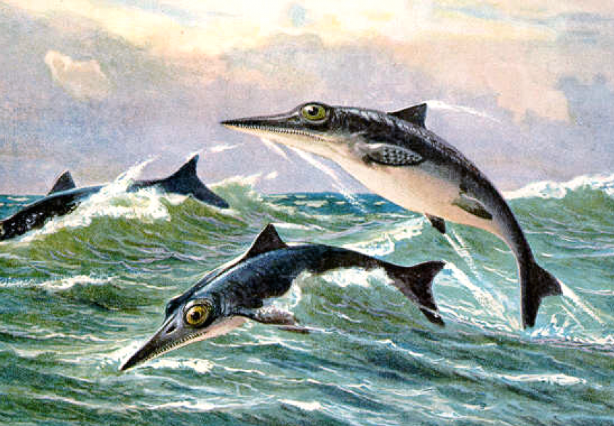 В триасовом периоде в морях властвовали не ихтиозавры