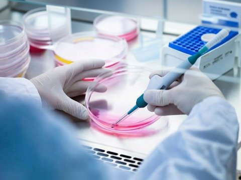 Метаболическая ловушка: как блокировка одного фермента лишает рак крови способности синтезировать ДНК