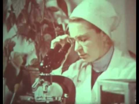 Растительная клетка, Центрнаучфильм, 1971