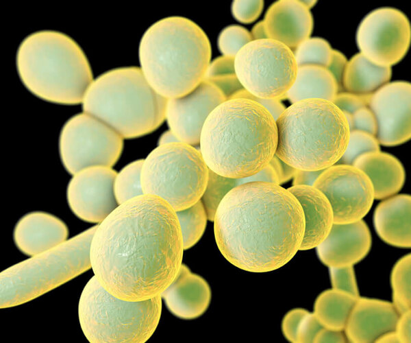 Спустя 30 проявились первые симптомы грибковой инфекции