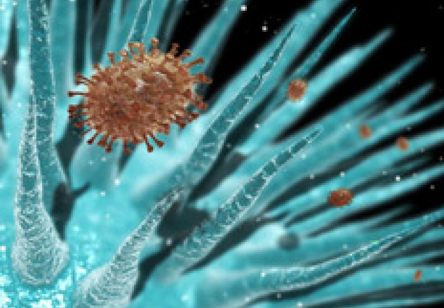 Ахиллесова пята вирусов обеспечит пожизненный иммунитет