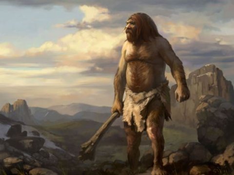 Ученые расшифровали геном неандертальца