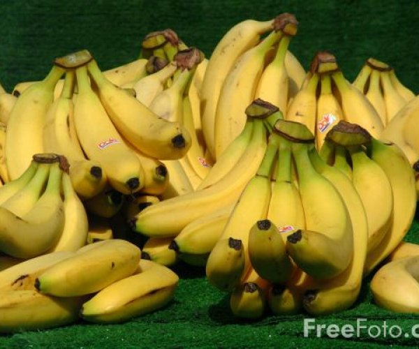 Бананы с ГМО спасут от голода жителей Африки