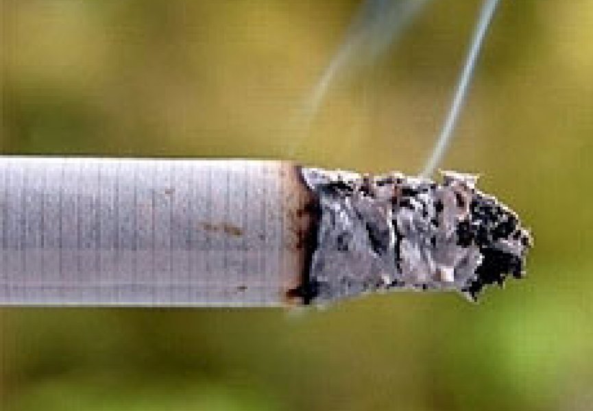 Сигареты популярных марок кишат опасными бактериями