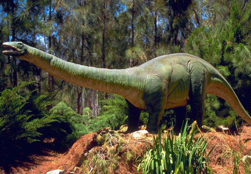 Динозавры вели ночной образ жизни