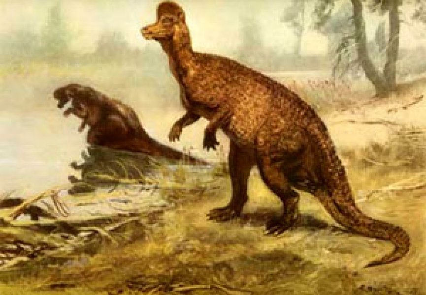 Новое в науке о динозаврах