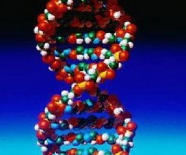 Неизвестные подробности о ДНК