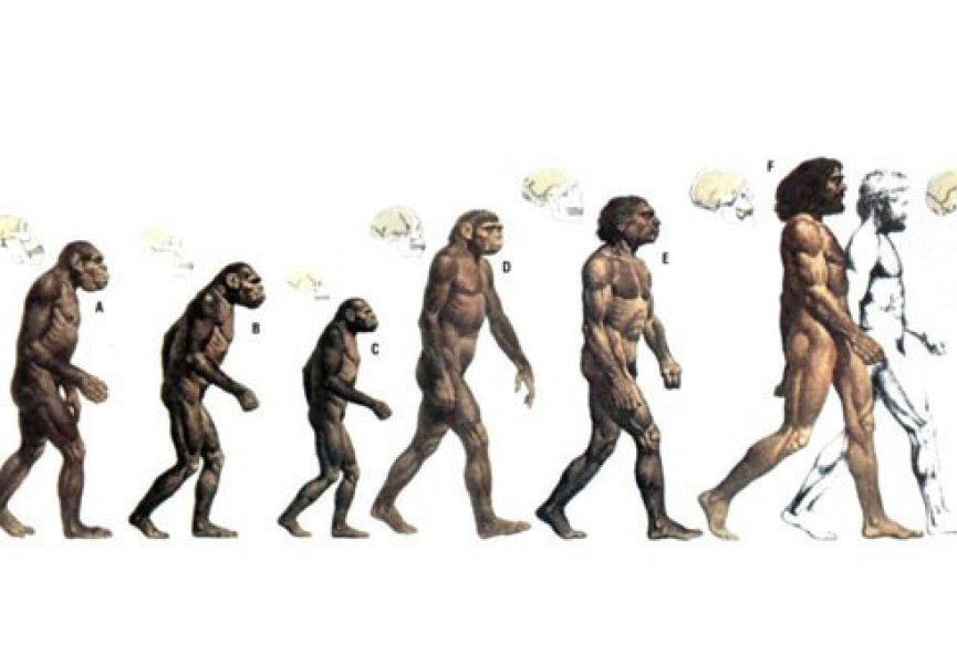 Ученые доказали необратимость эволюции