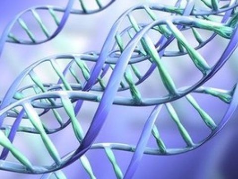 Ученым удалось изменить генетический код