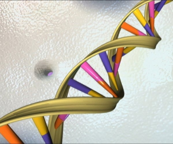 Масштабный проект по изучению генома человека завершился неудачей