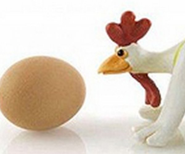 Ученые сошлись во мнении, что яицо появилось первее курицы