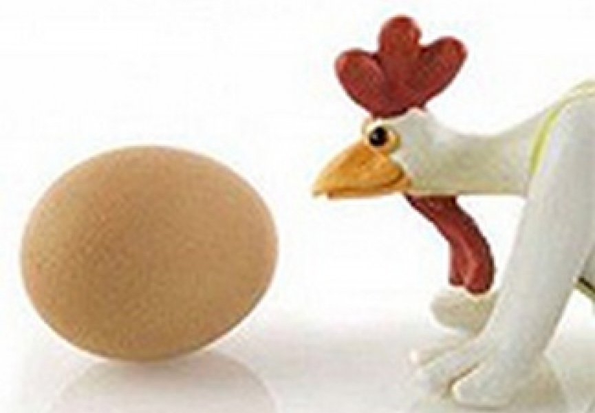 Ученые сошлись во мнении, что яицо появилось первее курицы