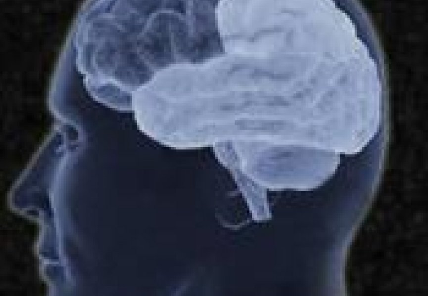 Человеческий мозг 