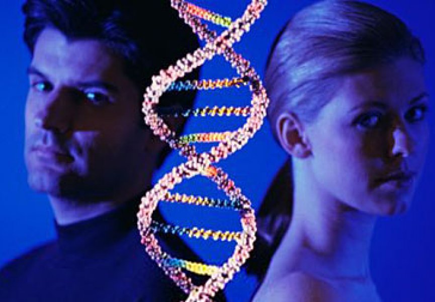 Женские и мужские хромосомы меняются генами