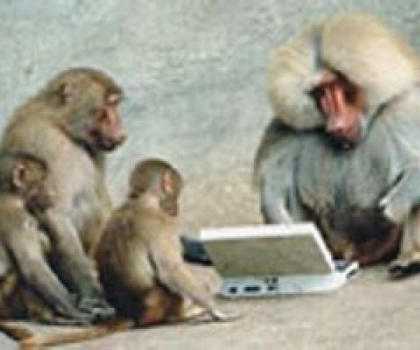 Американские ученые научили обезьян играть в компьютерные игры