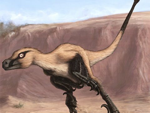 Палеонтологи обнаружили останки тероподного динозавра мелового периода