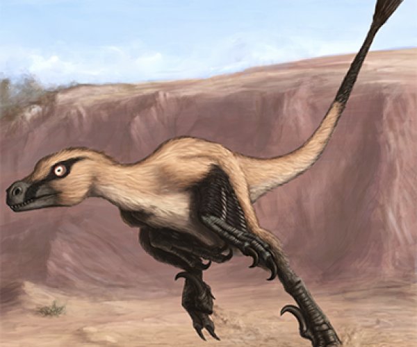 Палеонтологи обнаружили останки тероподного динозавра мелового периода