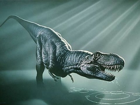 Палеонтологи обнаружили останки тираннозавра в Южном полушарии
