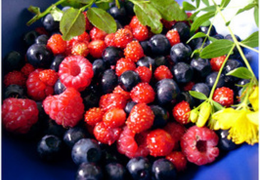 Употребление ягод поможет замедлить старение мозга