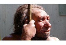 история возникновения