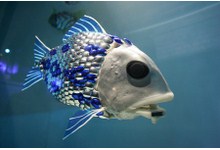 9567-robot-fish.jpg