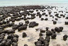 9567-stromatoliti.jpg
