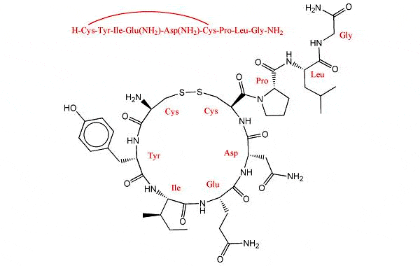 Структура молекулы окситоцина