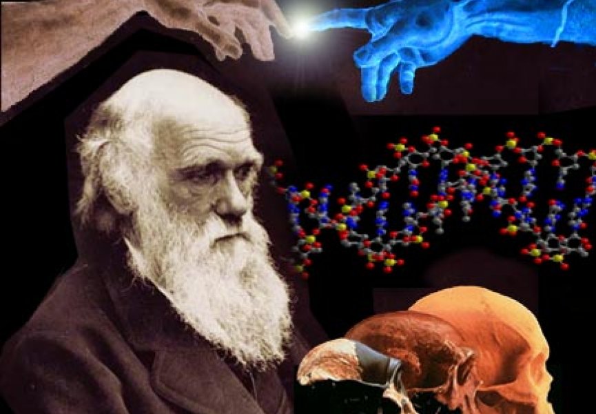 Предпосылки создания эволюционной теории Ч.              Дарвина