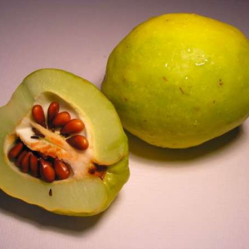Плод похожий на грушу. Айва плод. Семена айвы японской. Айва косточки. Японская айва плоды.