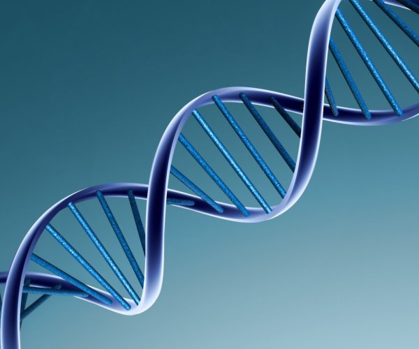 Биологи обнаружили новый тип ДНК