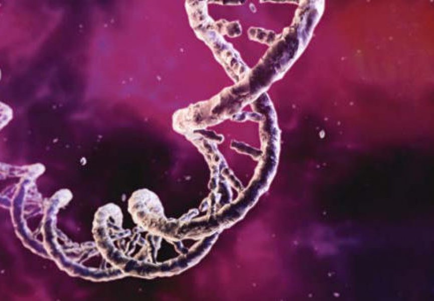 Генетики открыли ген разума