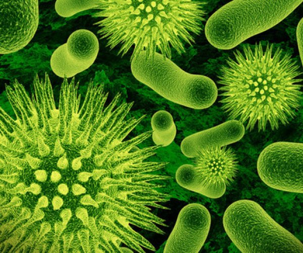 У бактерий обнаружили «кольчугу»