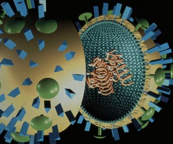 Французские ученые открыли мегавирус с неземным происхождением