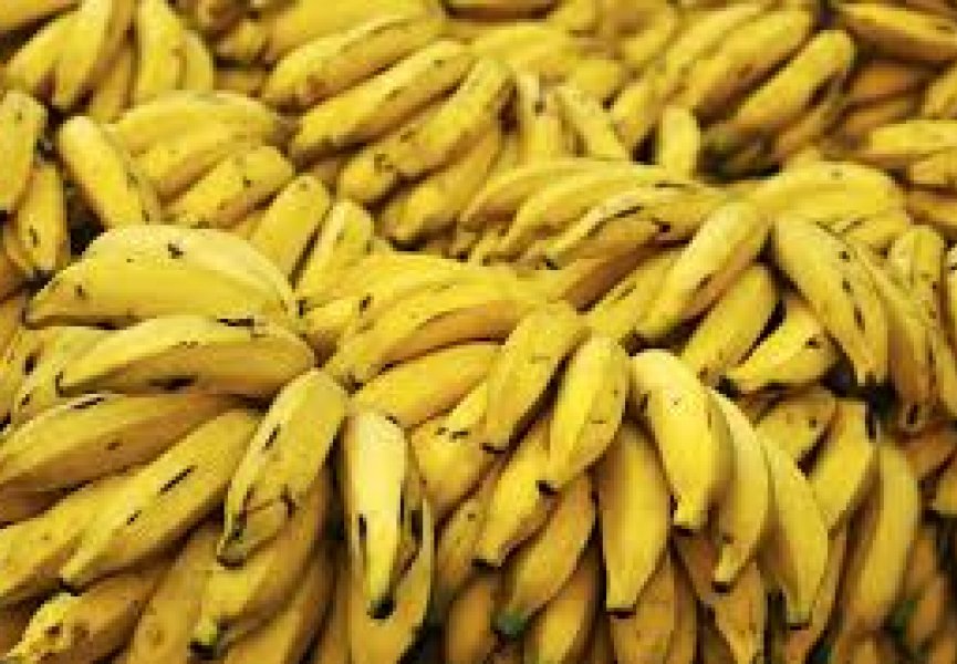 Бананы помогут избавится от никотиновой зависимости