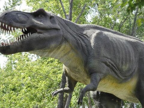 Метаболизм динозавров позволил им доминировать на нашей планете