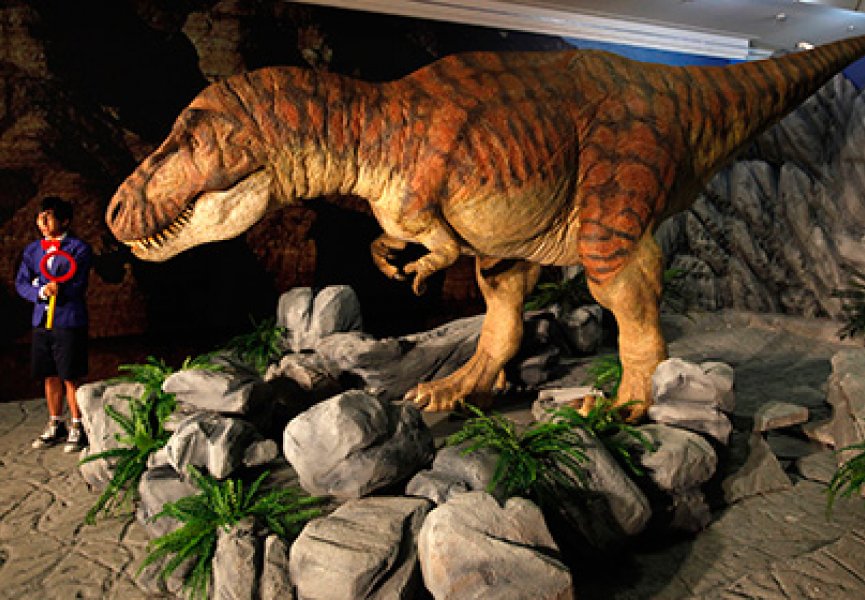 Секрет господства тираннозавров раскрыли ученые