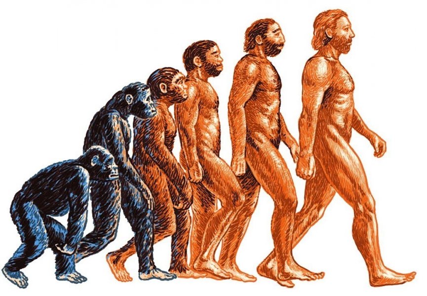 Лекция 1. Теория эволюции Ч. Дарвина