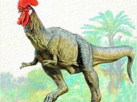 Канадский палеонтолог работает над превращением кур в динозавров