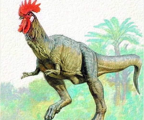 Канадский палеонтолог работает над превращением кур в динозавров
